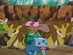 Bulbasaur... the Ambassador!