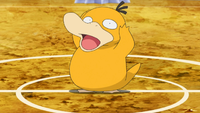 Misty's Psyduck