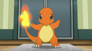 Red Charmander PO.png