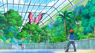 A Blustery Santalune Gym Battle!