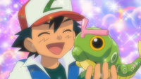 Ash Caterpie.png