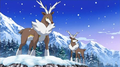 Winter Form Sawsbuck in the anime