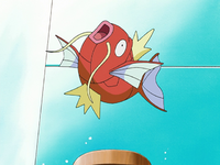 Oralie's Magikarp