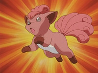 Brock's Vulpix