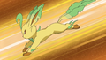 Leafeon in the anime