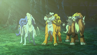 Entei, Raikou, and Suicune