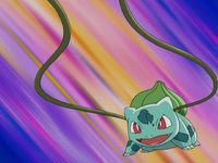 http://archives.bulbagarden.net/media/upload/thumb/7/7f/May_Bulbasaur_Vine_Whip.png/200px-May_Bulbasaur_Vine_Whip.png