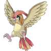 017Pidgeotto.png