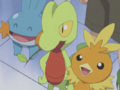 The Hoenn first partner Pokémon, owned by Brock, Ash, and May from left to right