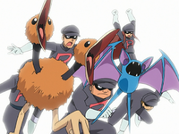 Team Rocket's Zubat