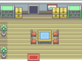 Mystery Trainer house room