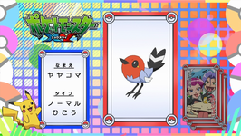 Pokémon Quiz XY001.png