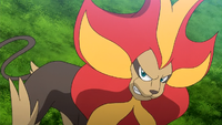 Lysandre's Pyroar