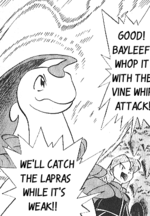 Gold Bayleef Vine Whip Golden Boys.png