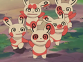 Examples of Spinda in the anime