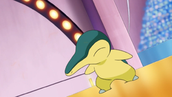 Dawn Cyndaquil.png