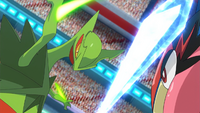 Sawyer Mega Sceptile Leaf Blade.png