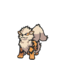 Arcanine