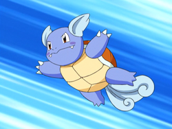 http://archives.bulbagarden.net/media/upload/thumb/9/9a/May_Wartortle.png/250px-May_Wartortle.png