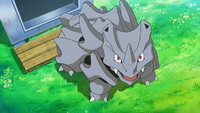 Grace's Rhyhorn