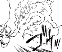 Blaine Arcanine Fire Spin Zensho.png