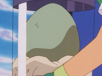 Ash's Egg