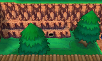 Secret Spot Route 119 8.png