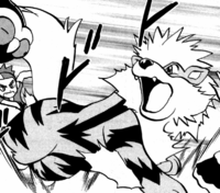 Marley's Arcanine