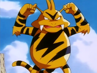 Rudy's Electabuzz