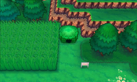 Secret Spot Route 120 6.png