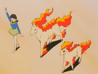 Stella's Ponyta