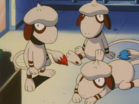 Jack Pollockson's Smeargle