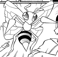 Team Rocket's Beedrill