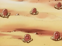 Diglett (multiple)