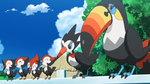 Toucannon flock.png