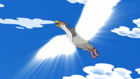 Ash Tranquill Wing Attack.png