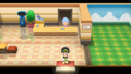Interior of the Nursery in Pokémon Brilliant Diamond and Shining Pearl