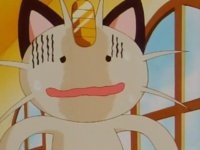 Duplica Ditto Meowth.png