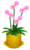 Flowering Plant