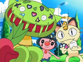 Meowth, Carnivine, and Mime Jr. playing with Seals