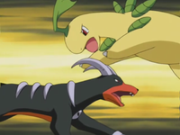 Harrison Houndoom Bite Ash Bayleef Headbutt.png