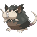 Alolan Raticate