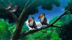 Faraway Island Swellow Toucannon.png