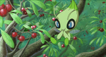 Celebi M04.png