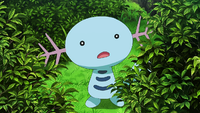 Kenzo's multiple Wooper.png