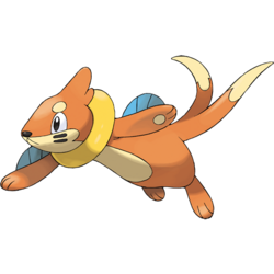 Buizel