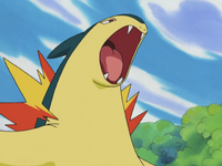 Mr. Moore's Typhlosion