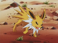 Ethan's Jolteon