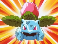 James's Ivysaur