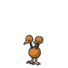 Doduo